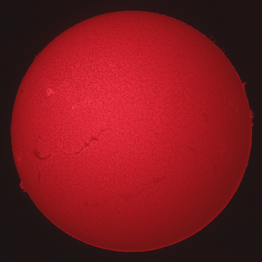 H-alpha image of the Sun obtained by the Helios observatory on 12 March 2026